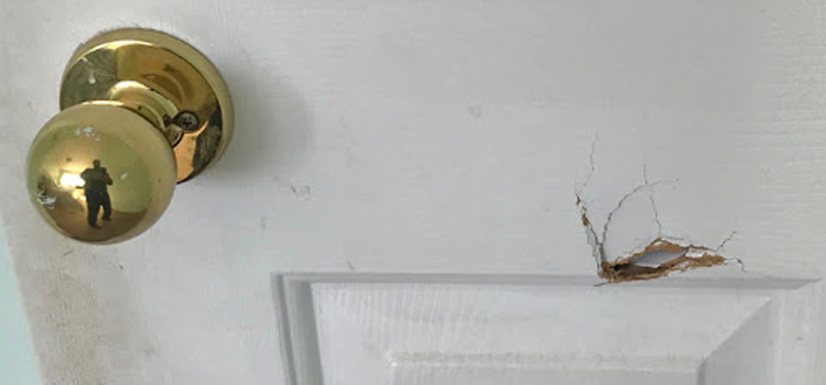 interior door hole repair Jamul
